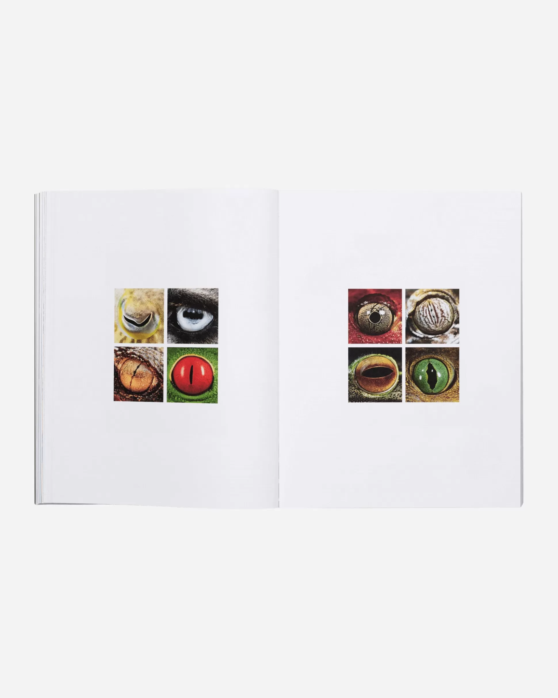 Slam Jam ADDPMP Vol. II Book Black Fashion