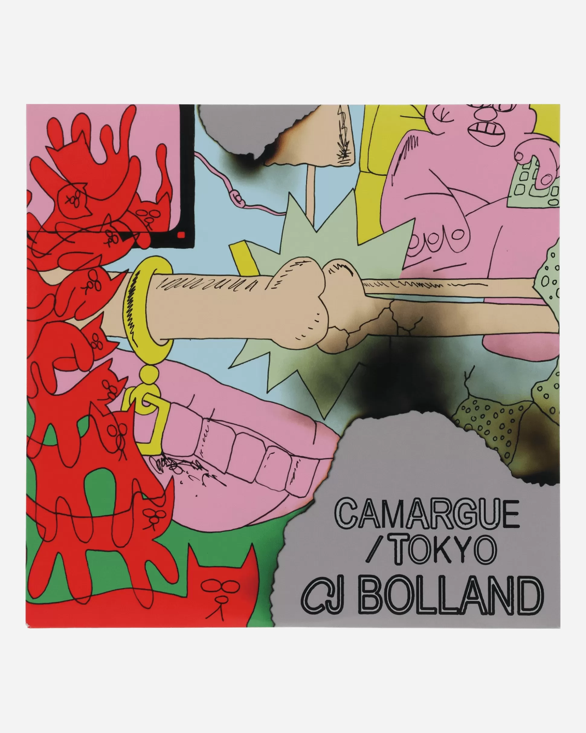 Public Possession Camargue / Tokyo Vinyl Outlet