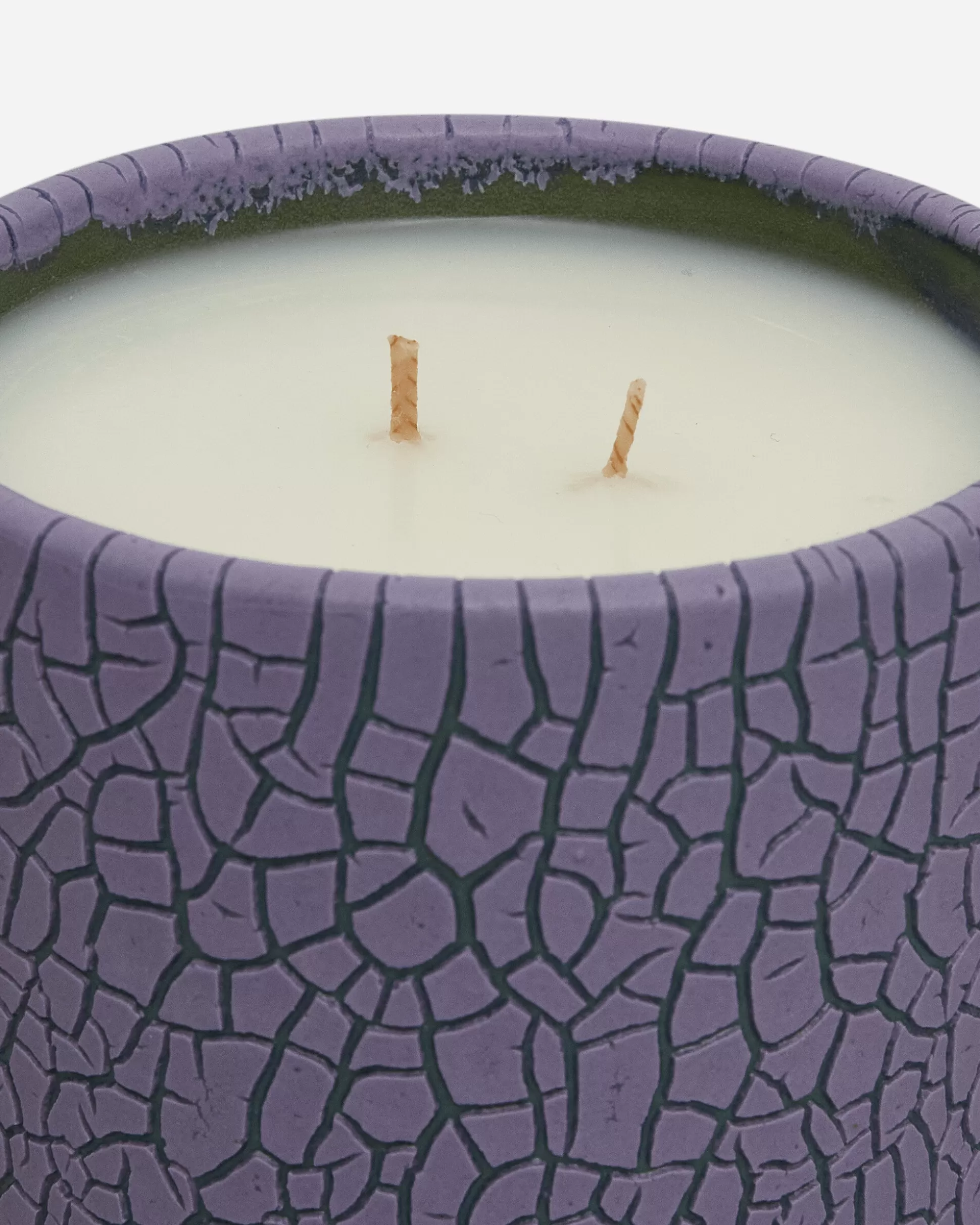 Houseplant Crackle Candle By Seth Purple Outlet