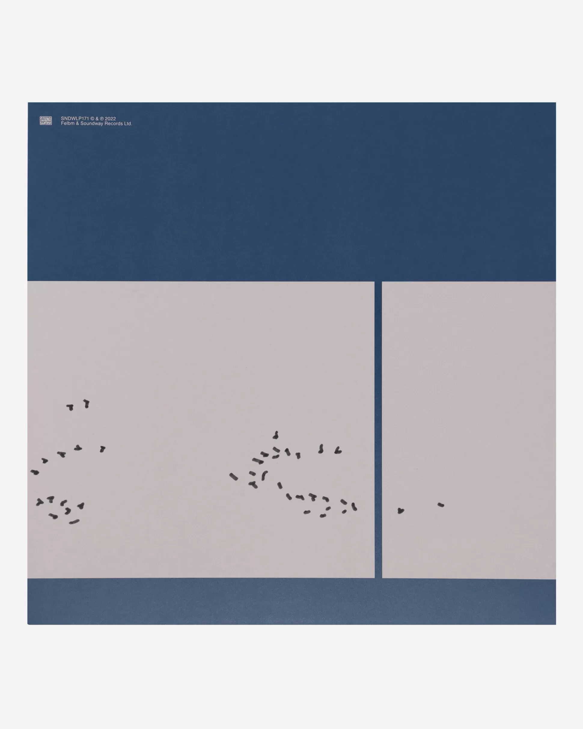 Public Possession Cycli Infini Vinyl Cheap