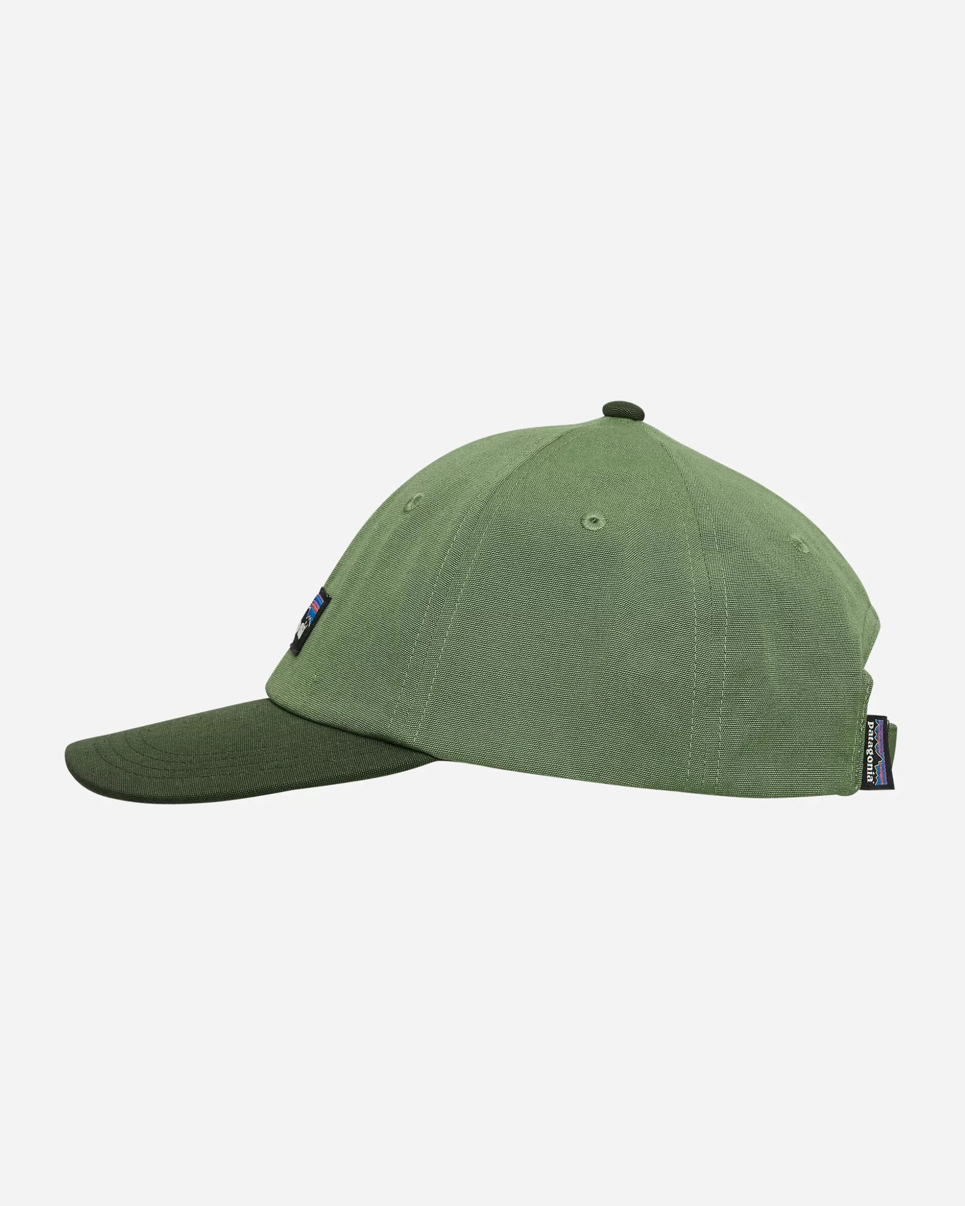 Patagonia P-6 Label Trad Cap Terrain Green Flash Sale