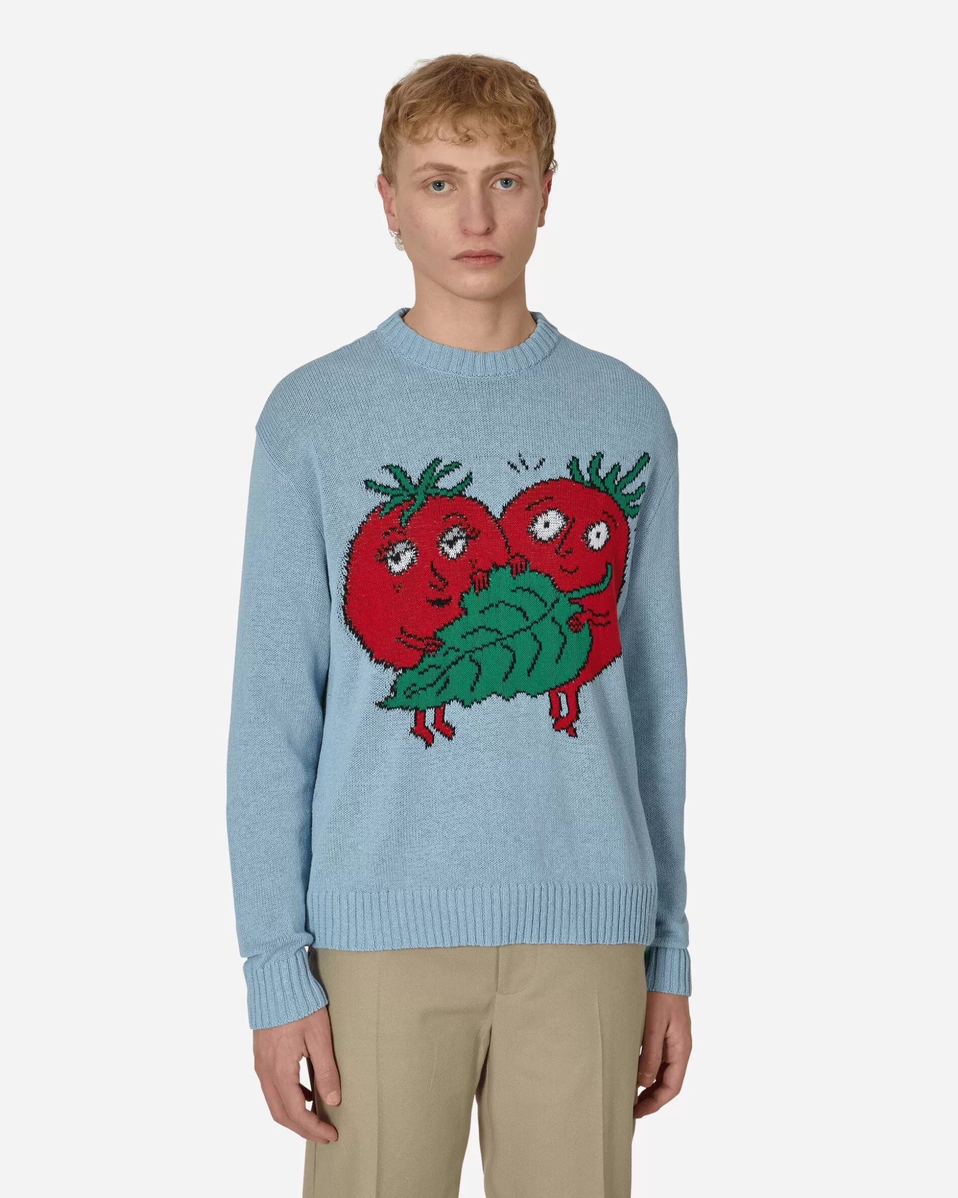 Sky High Farm Recycled Cotton Intarsia Knit Sweater Blue Shop