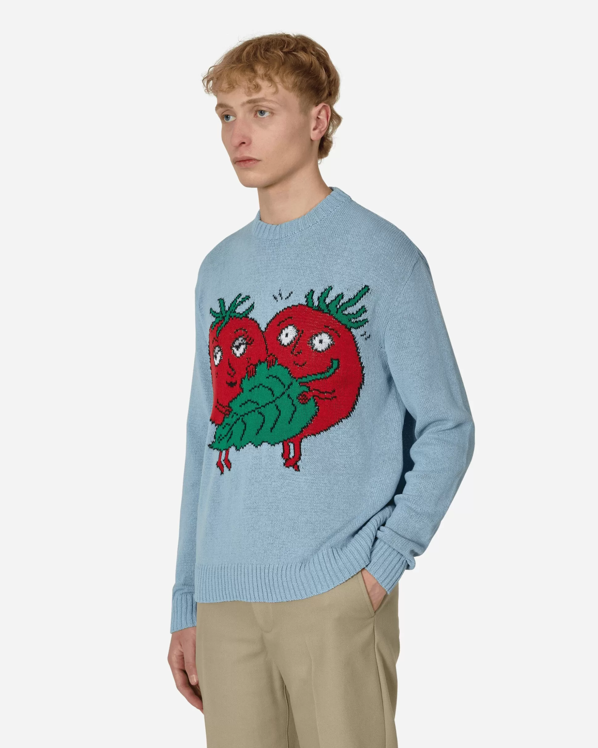 Sky High Farm Recycled Cotton Intarsia Knit Sweater Blue Shop